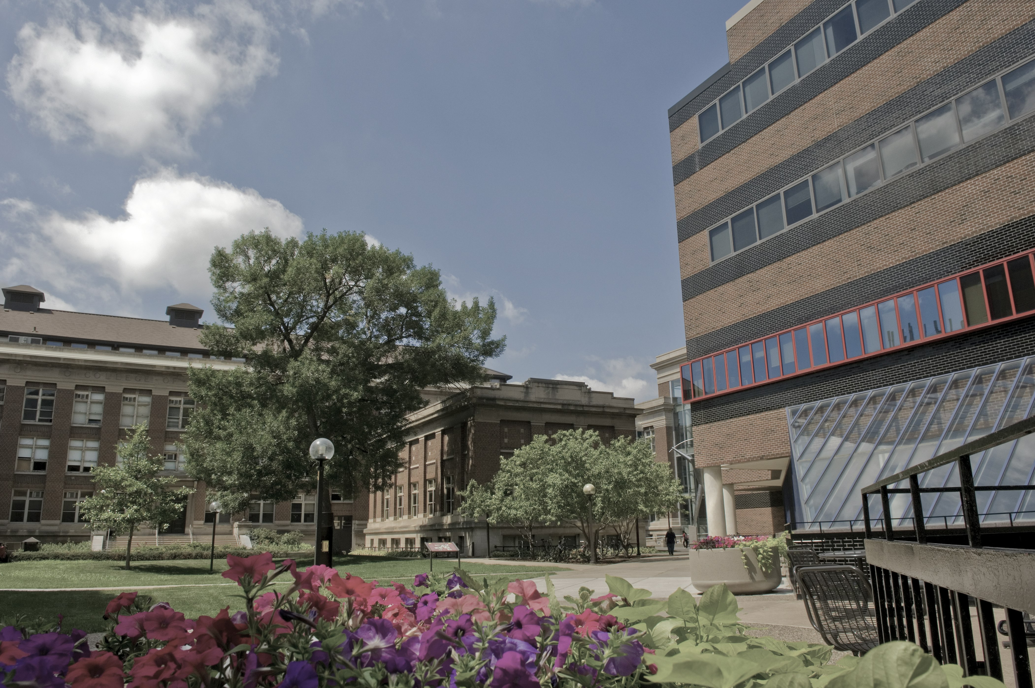 Photo of University of Minnesota  3