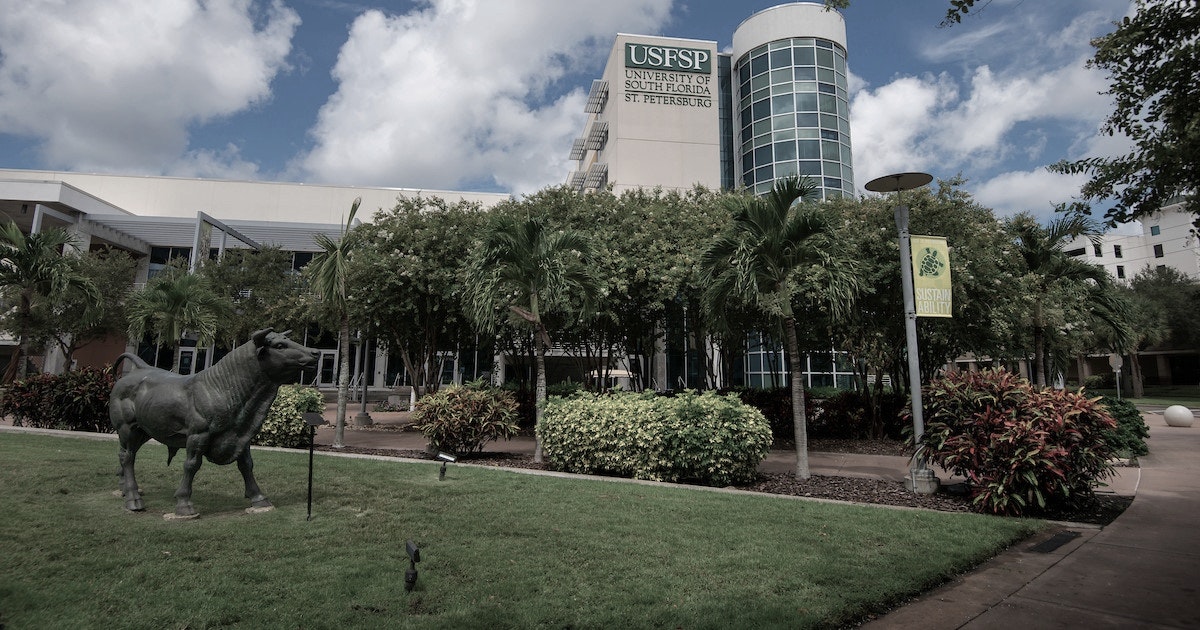 Photo of university of south florida 2
